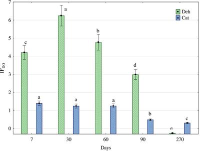 Functional Diversity of Fungal Communities in Soil Contaminated with Diesel Oil